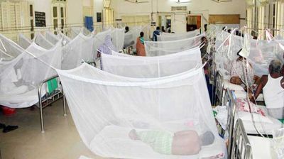 ডেঙ্গুতে ৪ জনের মৃত্যু, হাসপাতালে ভর্তি ৮৪৫