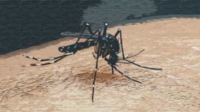 ডেঙ্গুতে আরও ৯ জনের মৃত্যু, হাসপাতালে ভর্তি ১০৪২