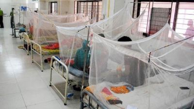 ডেঙ্গুতে ৫ জনের মৃত্যু, হাসপাতালে ভর্তি ১১৩৯