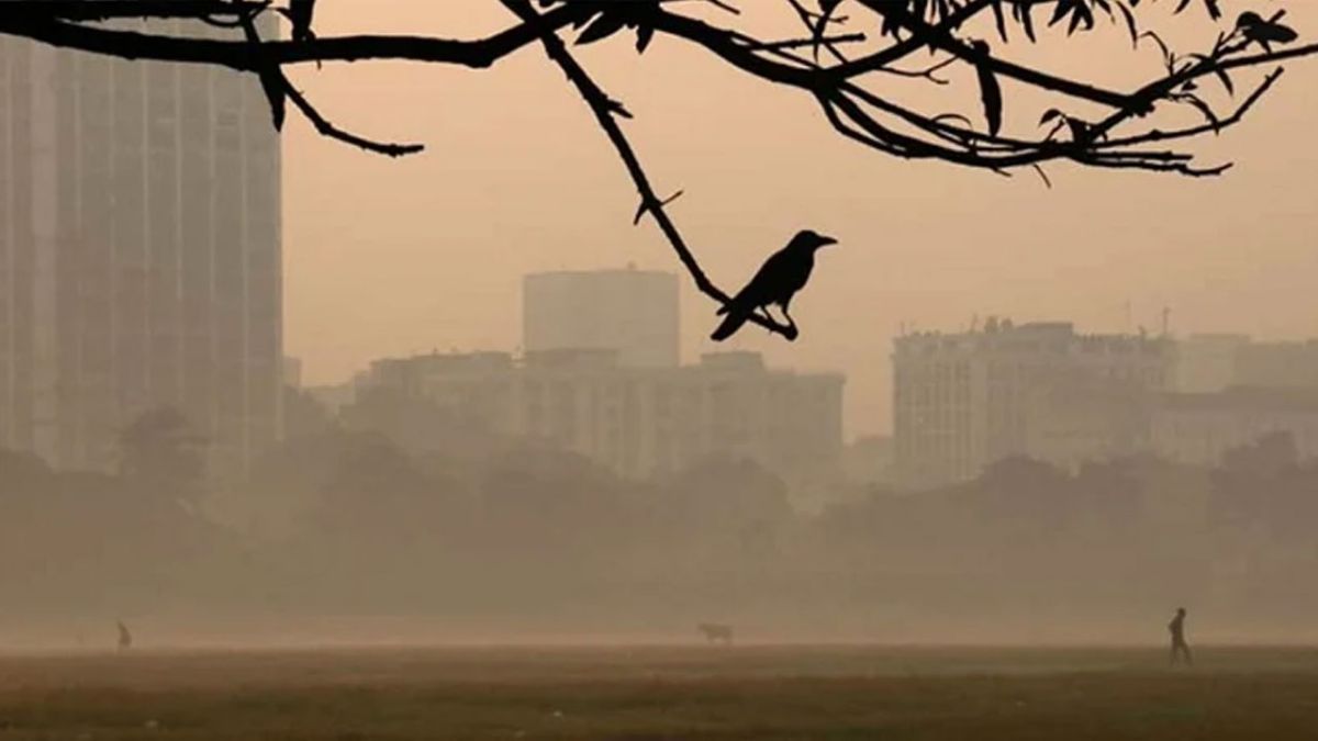 ঢাকায় বাড়ছে শীত: তাপমাত্রা নামল ১৫ ডিগ্রিতে