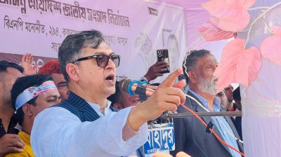 বিএনপিই একমাত্র বাংলাদেশের পক্ষের শক্তি: সালাহউদ্দিন