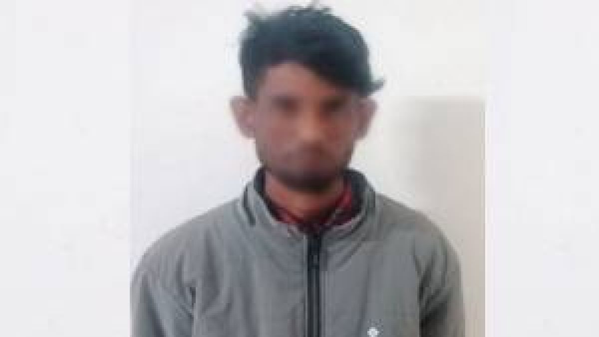 পিকআপ চাপায় শিশুর মৃত্যু; চালক গ্রেফতার