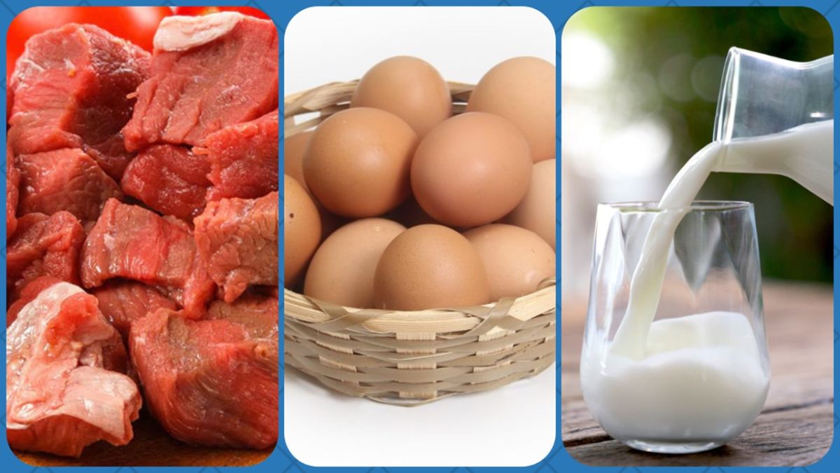 রমজানে সুলভ মূল্যে দুধ, ডিম ও মাংস বিক্রি করবে সরকার