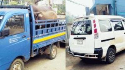 মহিষ ছিনতাই চেষ্টাকালে আটক স্বেচ্ছাসেবক নেতা বহিষ্কার