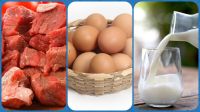 রমজানে সুলভ মূল্যে দুধ, ডিম ও মাংস বিক্রি করবে সরকার