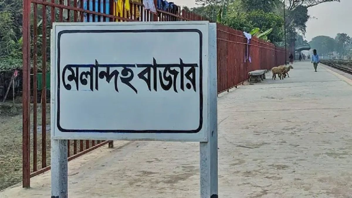 ট্রেনে কাটা পড়ে মানসিক ভারসাম্যহীন বৃদ্ধের মৃত্যু