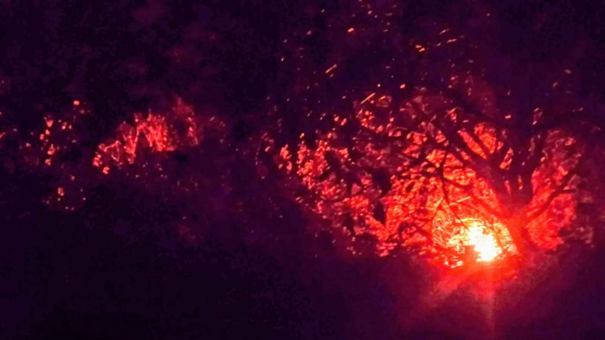 টেকনাফে সমুদ্র তীরবর্তী পাহাড়ে আগুন, ৪ ঘণ্টা পর নিয়ন্ত্রণে