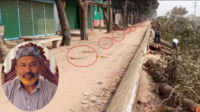 রাস্তার গাছ কেটে বাড়ির পথ বানানো সেই বিএনপি নেতা গ্রেপ্তার