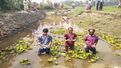 সরিষাবাড়ী-তে জমি বিরোধের জেরে পুকুরে বিষ প্রয়োগের অভিযোগ, শাস্তির দাবি এলাকাবাসীর