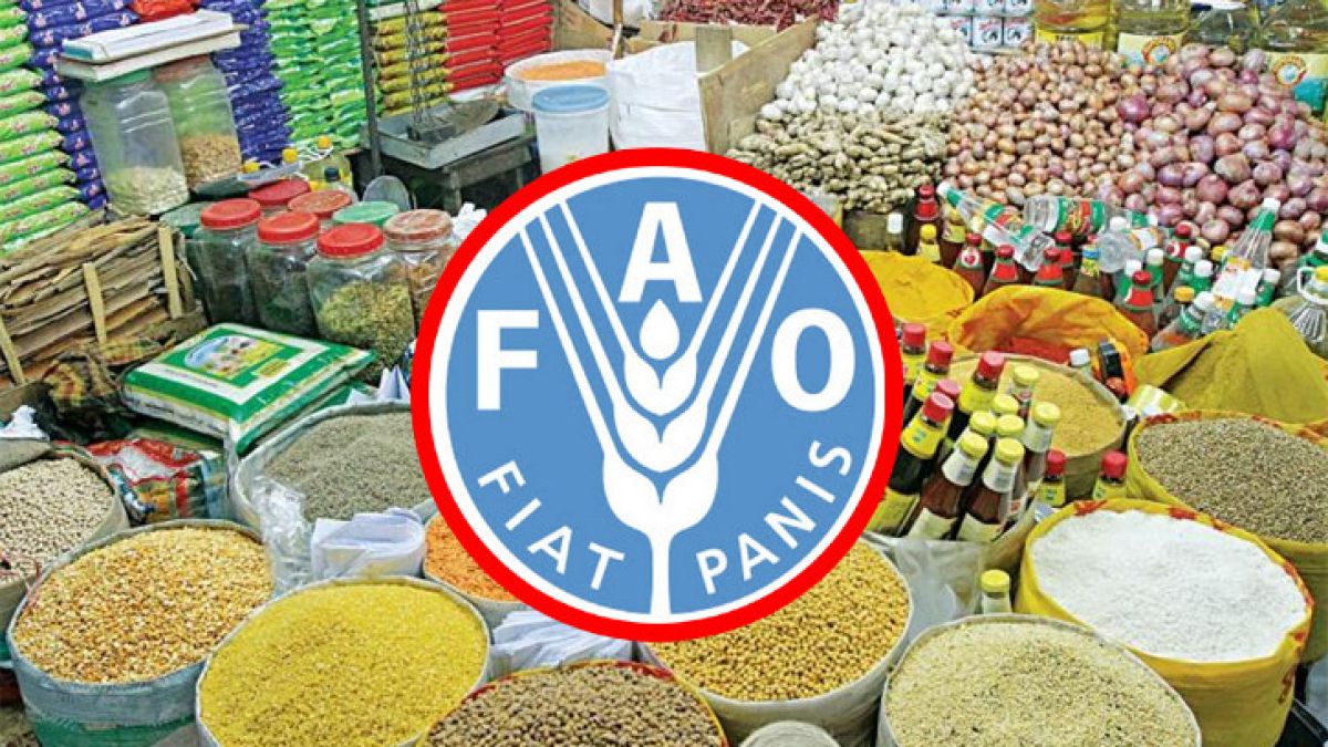 মধ্যপ্রাচ্য সংকট: বিশ্বজুড়ে খাদ্যপণ্যের দাম বাড়ার সতর্কতা জাতিসংঘের