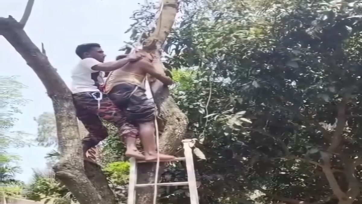 জামালপুরে গাছের ডাল কাটতে উঠে অজ্ঞান শ্রমিক, উদ্ধার করলো ফায়ার সার্ভিস