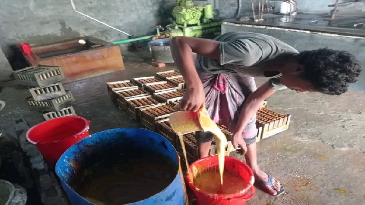 অস্বাস্থ্যকর পরিস্থিতিতে উৎপাদনের দায়ে নীলফামারীতে আইসক্রিম ফ্যাক্টরিকে জরিমানা; উৎপাদন বন্ধ