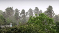 ২০ জেলায় ঝড়-বৃষ্টির আভাস, নদীবন্দরে ১ নম্বর সতর্ক সংকেত