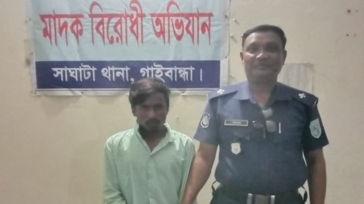 সাঘাটায় ৫৫ পিস ইয়াবাসহ মাদক কারবারি গ্রেপ্তার