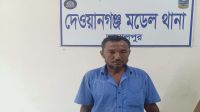 জামালপুরে তিন বছরের শিশুকে ধর্ষণচেষ্টা, পার্কের নৈশ প্রহরী গ্রেফতার