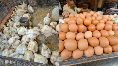 ব্রয়লারের কেজি ২০০, ডিমের ডজন ১৫০