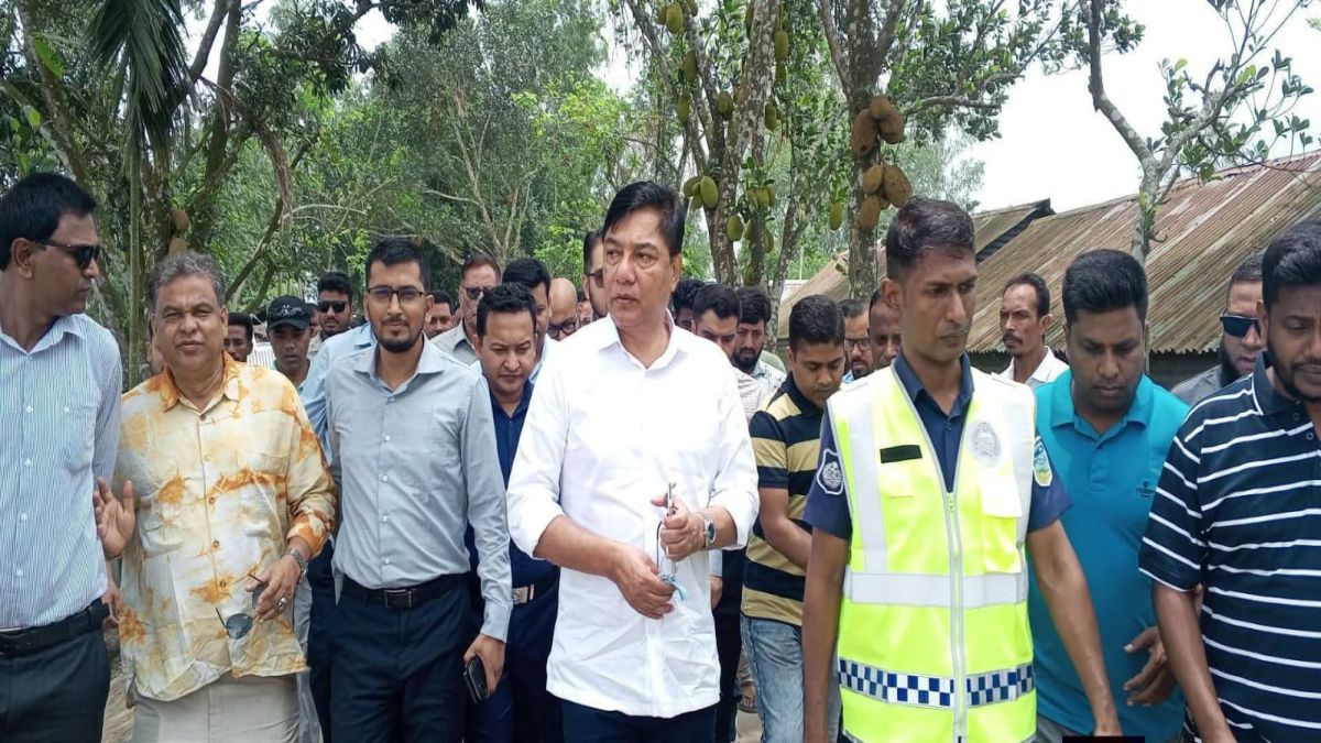 প্রধানমন্ত্রীর হাত-পা ধরে হলেও ২য় যমুনা সেতু আনবো, জামালপুরে বিমান প্রতিমন্ত্রী মিল্লাত