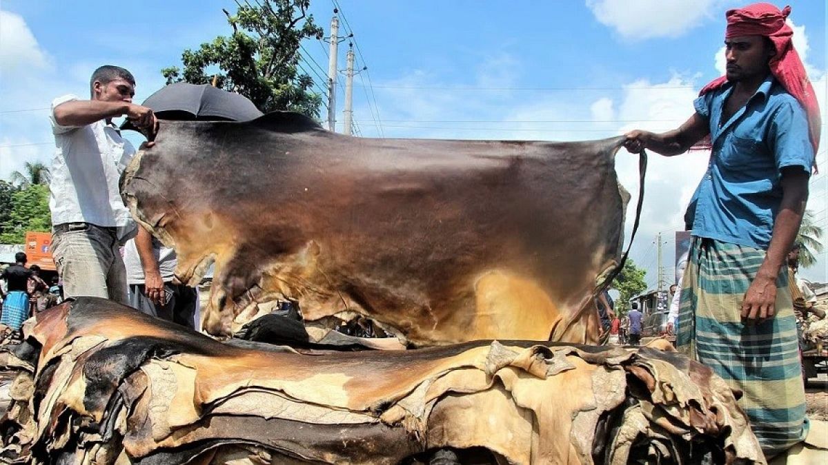 কোরবানির চামড়া নিয়ে সরকারের বিশেষ উদ্যোগ