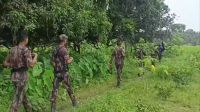 দর্শনা সীমান্তে বিএসএফের ১১ জনের পুশইনচেষ্টা ব্যর্থ করে দিলো বিজিবি
