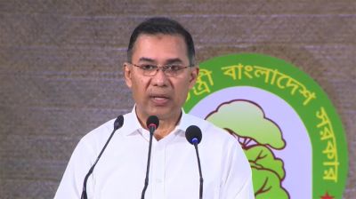 সরকারি হিসাবে ৭ লাখ দেখালেও গাছ লাগানো হয়েছে ২ লাখ: প্রধানমন্ত্রী