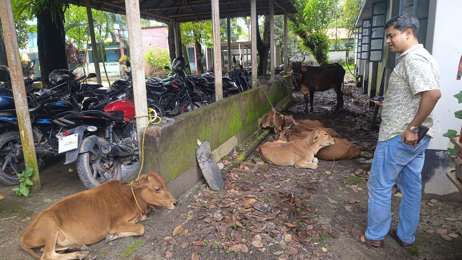 কুড়িগ্রাম  ৮টি ভারতীয়  গরু ও ৪ জন আটক, পুলিশের সঙ্গে বাকবিতণ্ডা